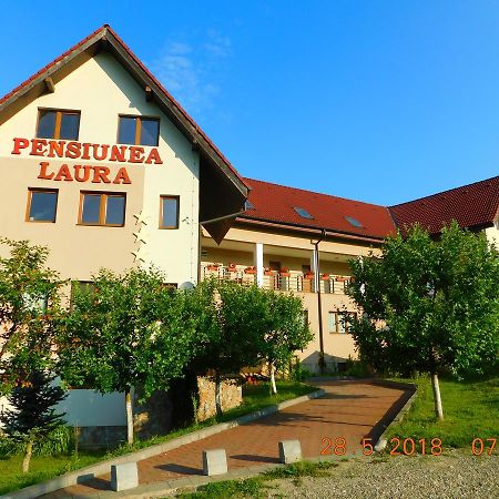 Pension Laura Cheile Turzii Petrestii de Jos ภายนอก รูปภาพ