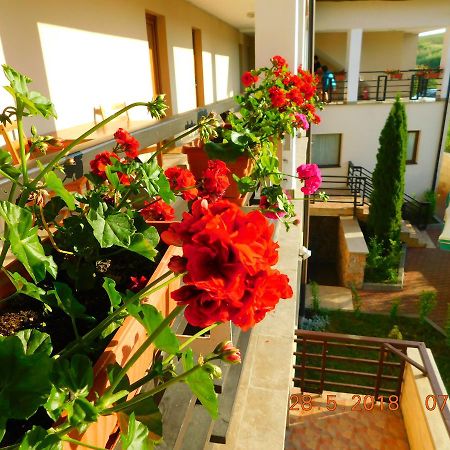 Pension Laura Cheile Turzii Petrestii de Jos ภายนอก รูปภาพ