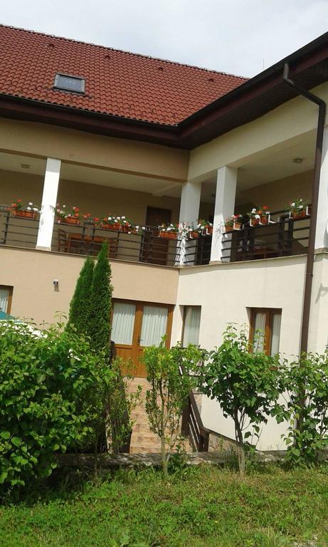 Pension Laura Cheile Turzii Petrestii de Jos ภายนอก รูปภาพ