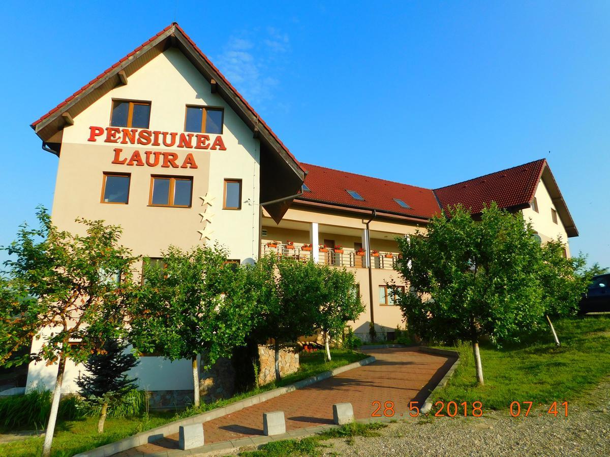 Pension Laura Cheile Turzii Petrestii de Jos ภายนอก รูปภาพ