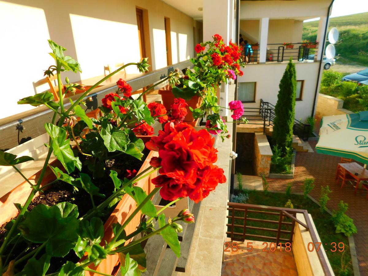 Pension Laura Cheile Turzii Petrestii de Jos ภายนอก รูปภาพ