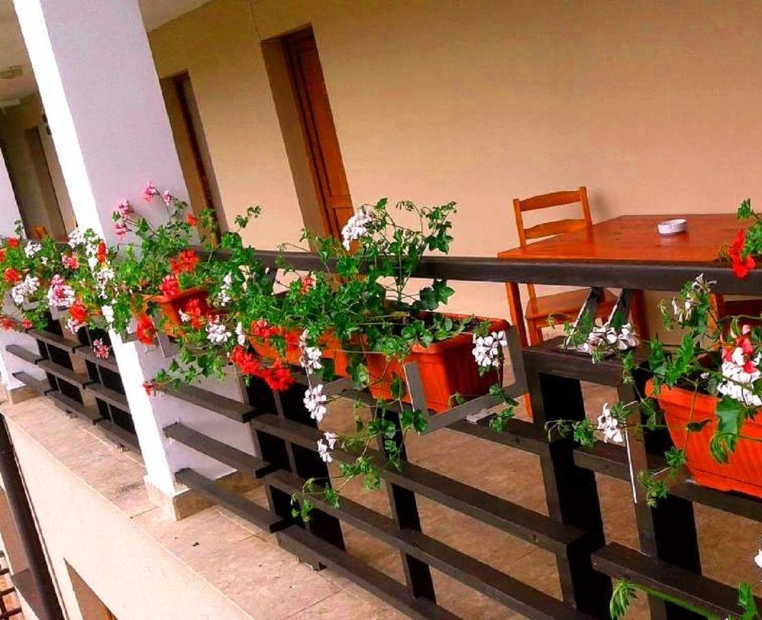 Pension Laura Cheile Turzii Petrestii de Jos ห้อง รูปภาพ